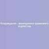 Кхаджурахо - жемчужина храмового зодчества