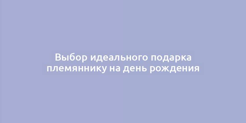 Выбор идеального подарка племяннику на день рождения