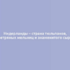 Нидерланды – страна тюльпанов, ветряных мельниц и знаменитого сыра