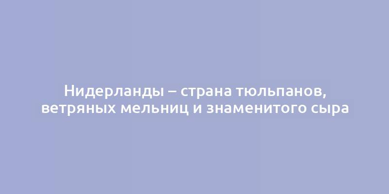 Нидерланды – страна тюльпанов, ветряных мельниц и знаменитого сыра