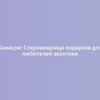 Конакри: Сокровищница подарков для любителей экзотики