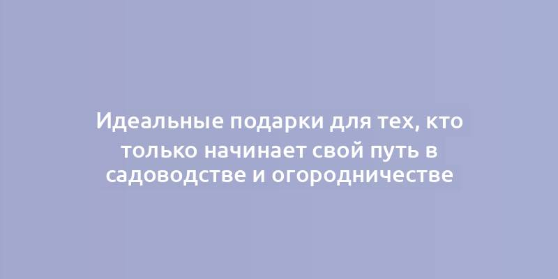 Идеальные подарки для тех, кто только начинает свой путь в садоводстве и огородничестве